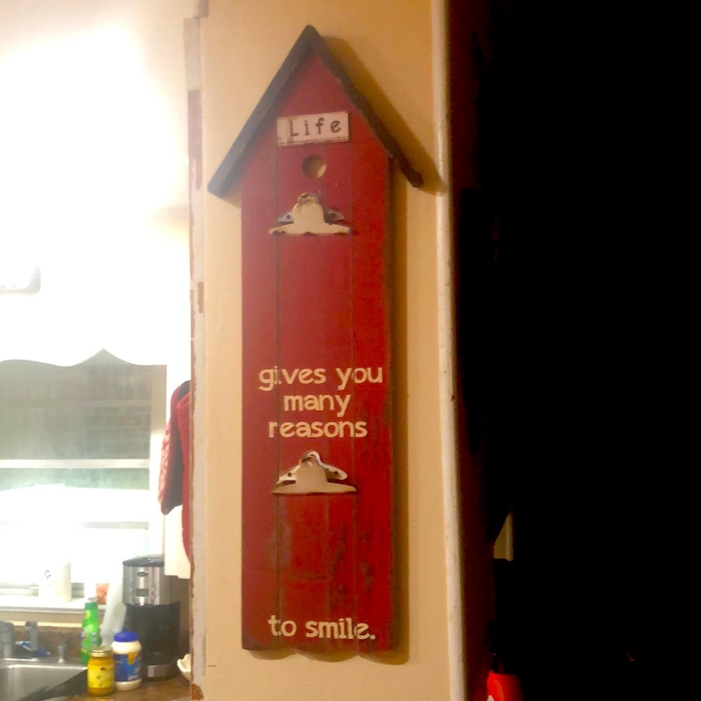 Wall hanger home decor